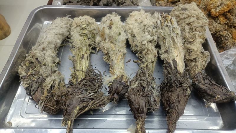 天山雪莲花各种中药材名贵药材冷背药材零售批发，实体加平台