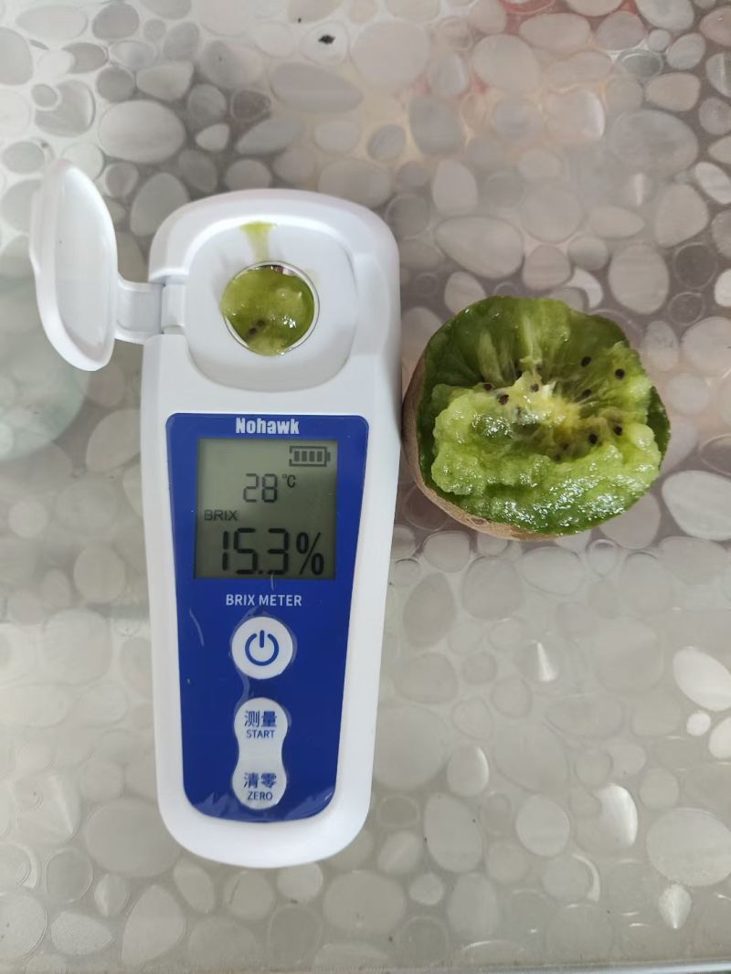 产地直销猕猴桃，价格实惠，质量保证，大量现货