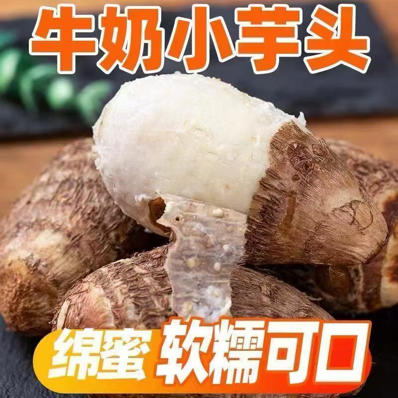【特价】新鲜牛奶小芋头香芋头现挖毛芋头小香芋当季整箱批发云南