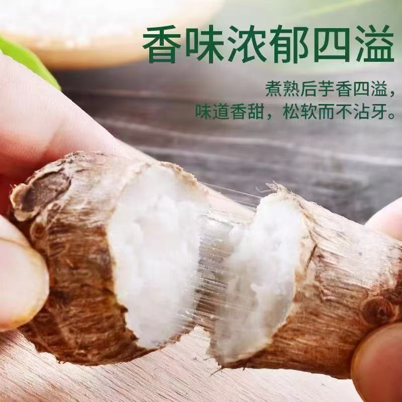 【特价】新鲜牛奶小芋头香芋头现挖毛芋头小香芋当季整箱批发云南