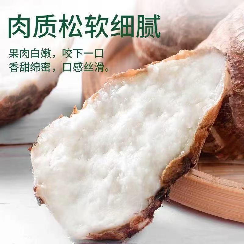 【特价】新鲜牛奶小芋头香芋头现挖毛芋头小香芋当季整箱批发云南