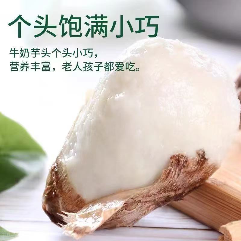 【特价】新鲜牛奶小芋头香芋头现挖毛芋头小香芋当季整箱批发云南