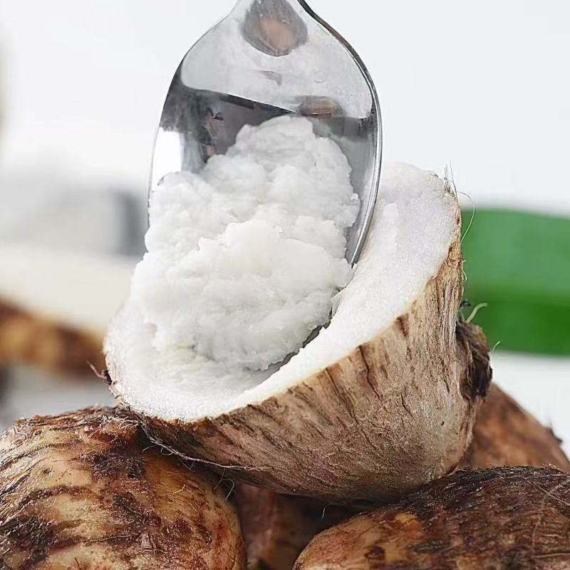 【特价】新鲜牛奶小芋头香芋头现挖毛芋头小香芋当季整箱批发云南