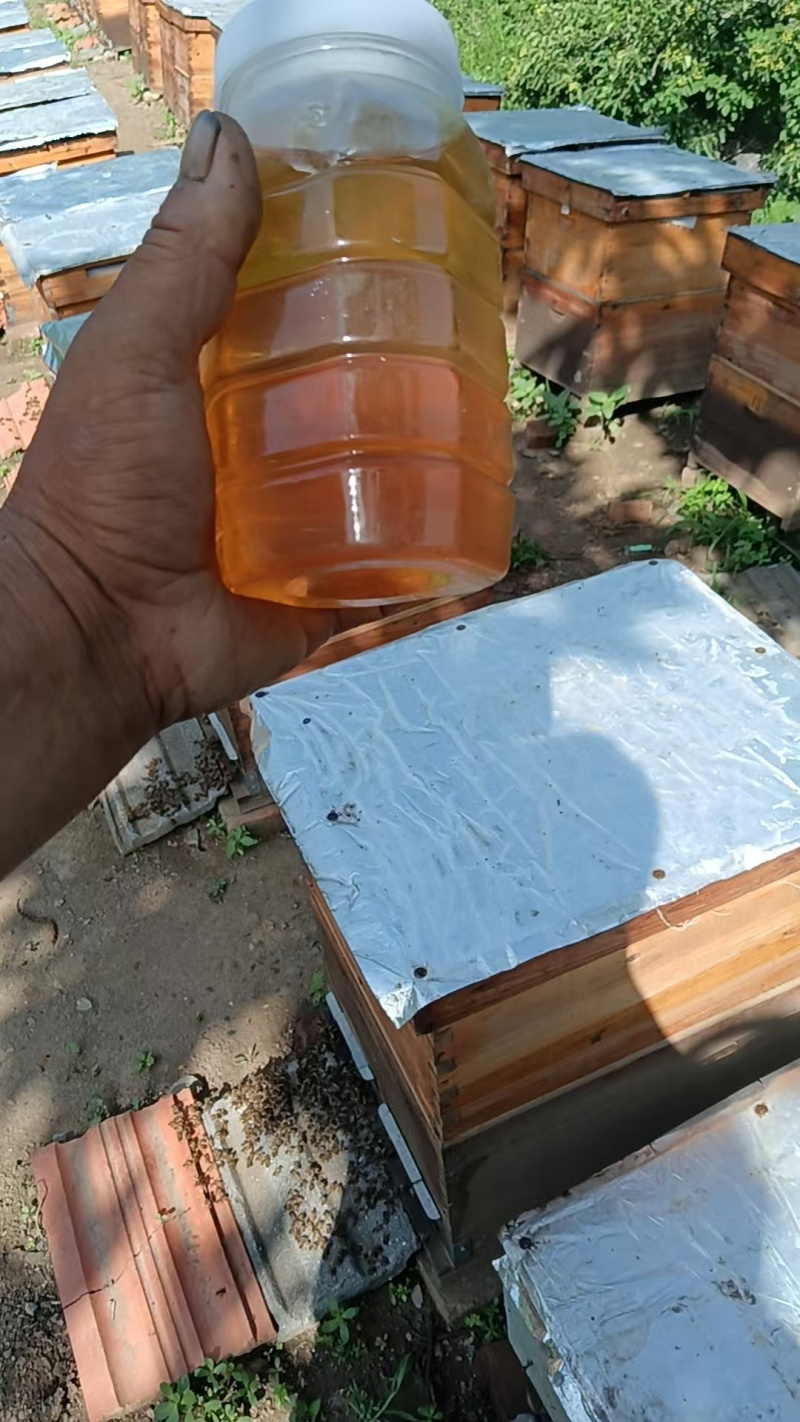 蜂蜜。荆条蜜