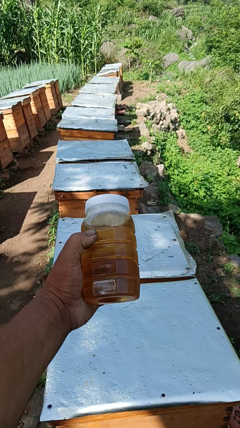 蜂蜜。荆条蜜