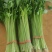芹菜宁夏银川芹菜量大从优批发电商平台团购商超欢迎实地考察