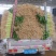 芹菜宁夏银川芹菜量大从优批发电商平台团购商超欢迎实地考察