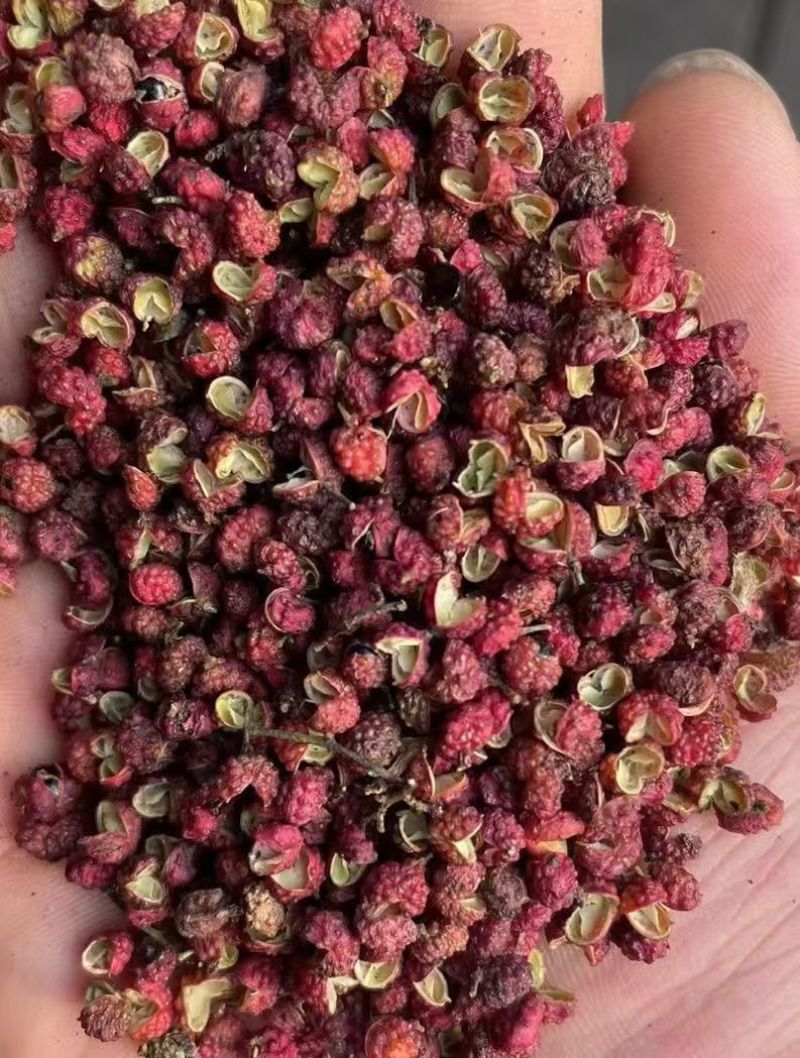 云南青花椒代办。