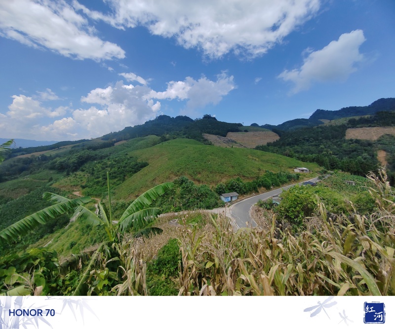 云南黄金百香果，产地直销，需要欢迎的联系