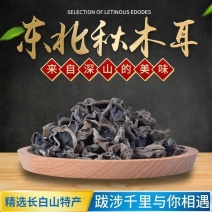 新货黑木耳干货东北特产批发长白山秋木耳散装正宗肉厚包邮