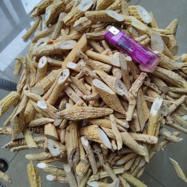 牛大力；粉质牛大力；大叶品种；大量供应；干货大量出售