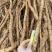 牛大力；粉质牛大力；大叶品种；大量供应；干货大量出售