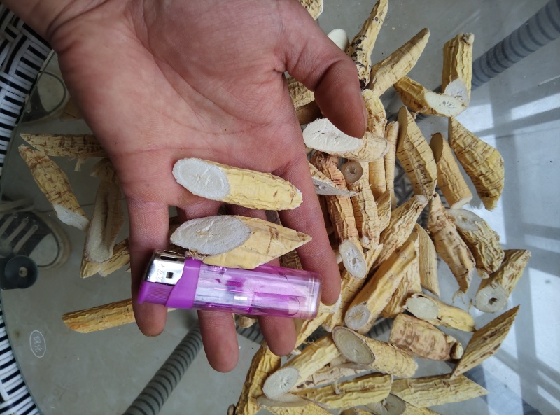 牛大力；粉质牛大力；大叶品种；大量供应；干货大量出售