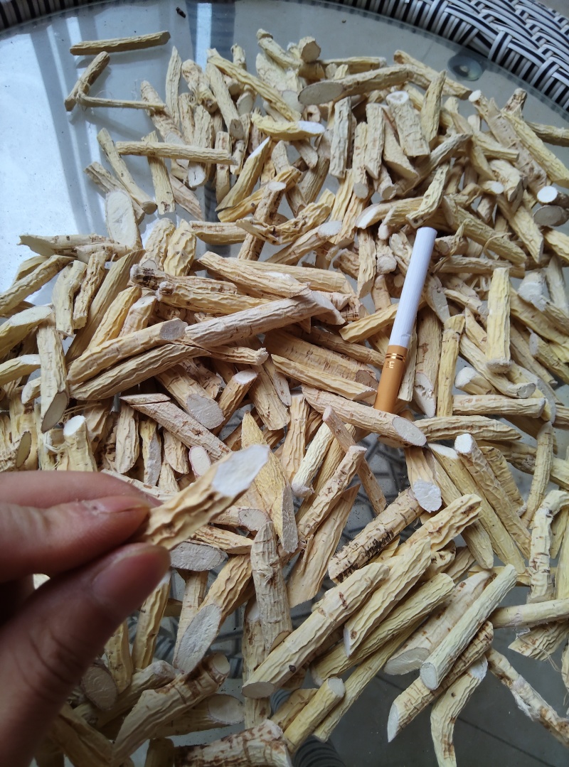 牛大力；粉质牛大力；大叶品种；大量供应；干货大量出售