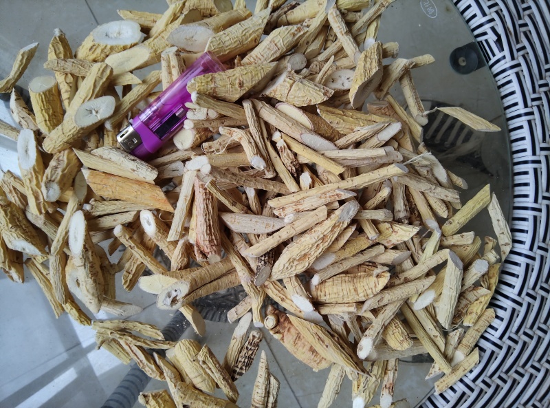 牛大力；粉质牛大力；大叶品种；大量供应；干货大量出售