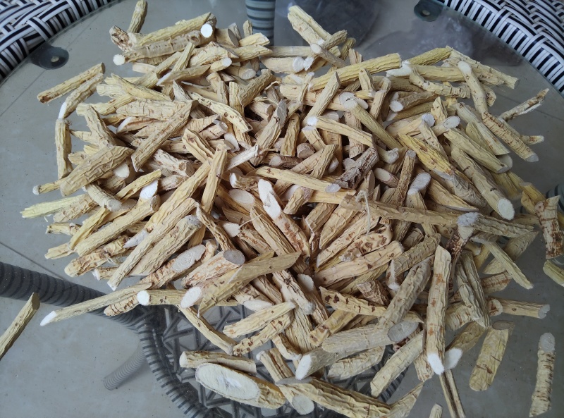 牛大力；粉质牛大力；大叶品种；大量供应；干货大量出售