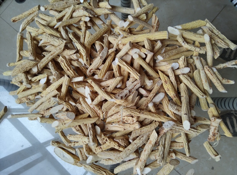 牛大力；粉质牛大力；大叶品种；大量供应；干货大量出售