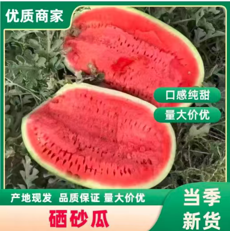 【实力优选】内蒙古通辽精品西瓜专业实力代办产地直发