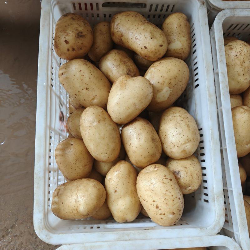 精品水洗超市货