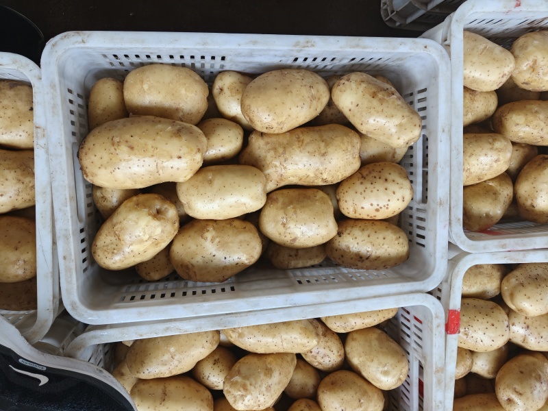 精品水洗超市货