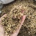 麦芽炒麦芽山东产地货源大货供应量大从优