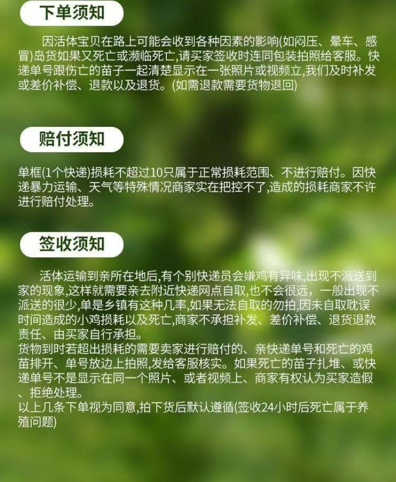 现货正宗五黑鸡小鸡苗批发活苗黑土鸡三黄鸡麻鸡产蛋顺丰包邮
