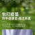 现货正宗五黑鸡小鸡苗批发活苗黑土鸡三黄鸡麻鸡产蛋顺丰包邮