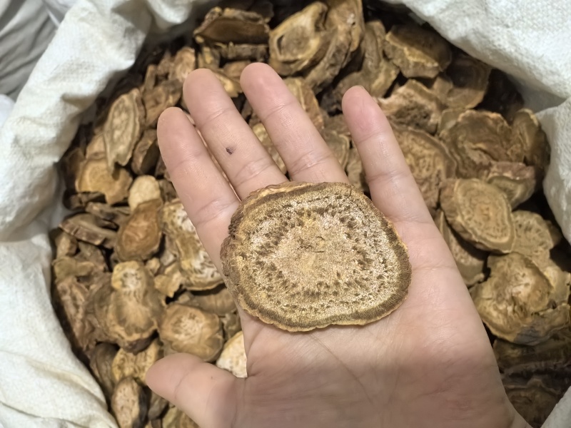 大黄四川大黄马蹄大黄选大黄多种规格七彩百草药业