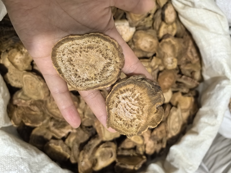 大黄四川大黄马蹄大黄选大黄多种规格七彩百草药业