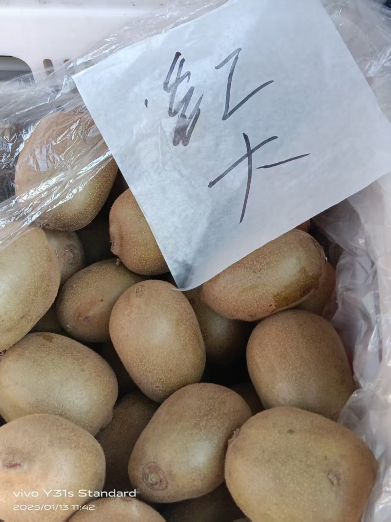 西峡中华50红心猕猴桃产地直供，口感好果大，对接采购商