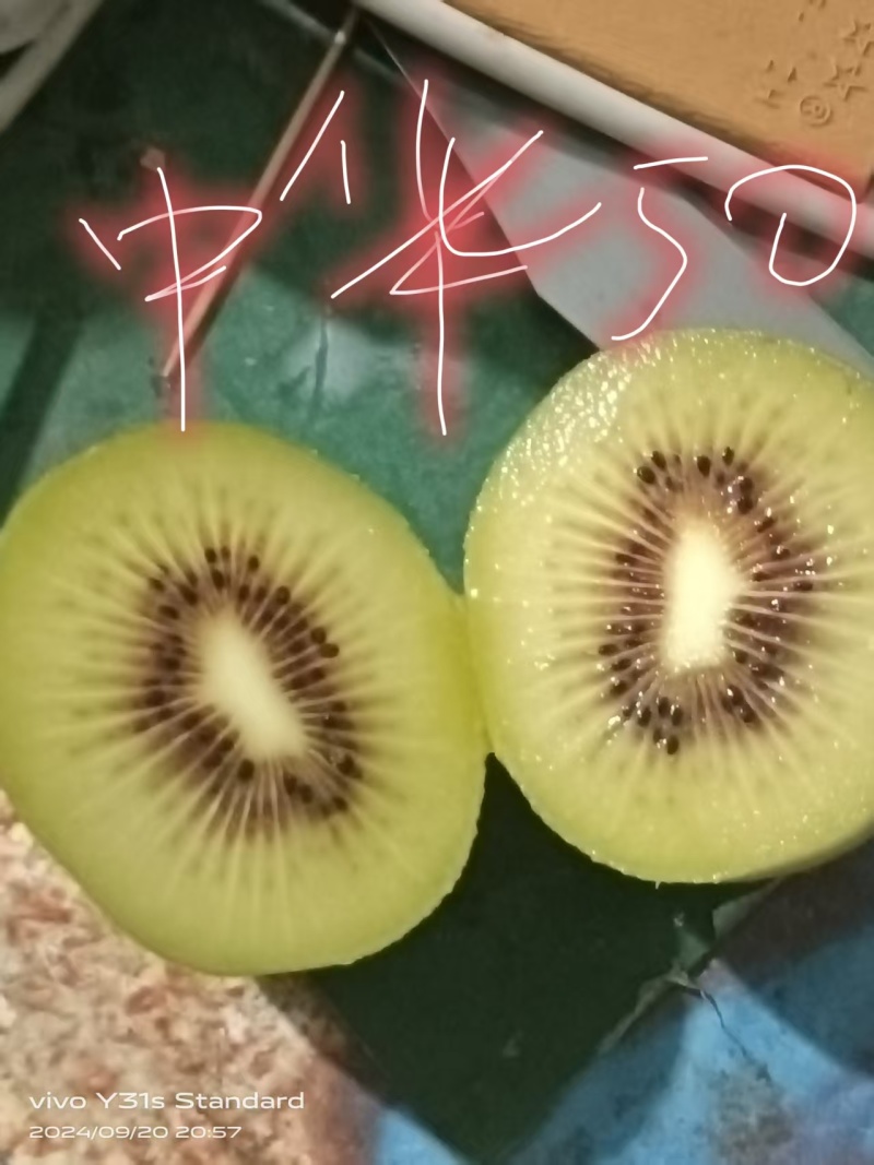西峡中华50红心猕猴桃产地直供，口感好果大，对接采购商