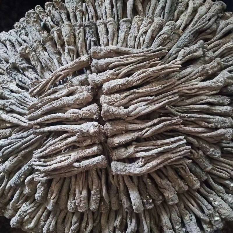 甘肃精品成品当归中药材新货现挖特级长货大量现货