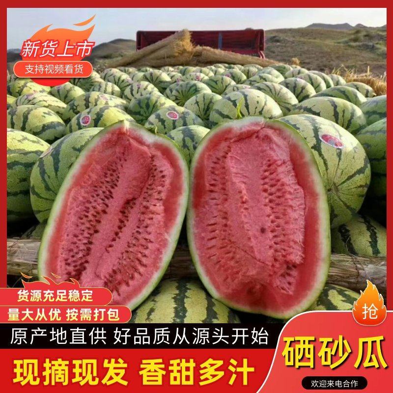 【精选】精品硒砂瓜视频看货代发全国包熟包甜量大从优