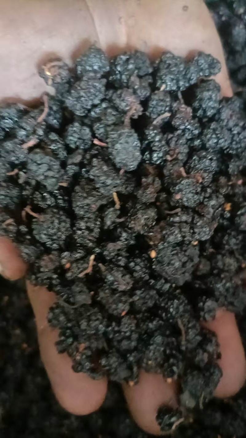 河北桑葚干/桑葚干产地直供/量大从优对接超市批发市场