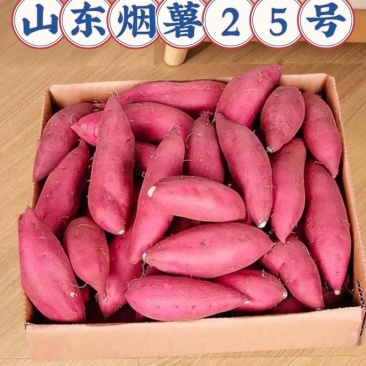 烟薯25红薯山东红薯口感好价格实惠运输便利欢迎电联