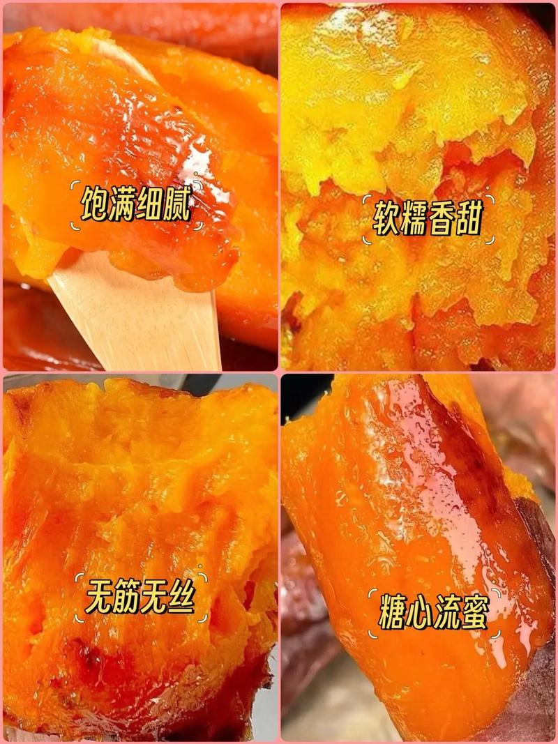 烟薯25红薯山东红薯口感好价格实惠运输便利欢迎电联