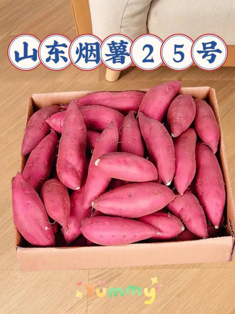 烟薯25红薯山东红薯口感好价格实惠运输便利欢迎电联