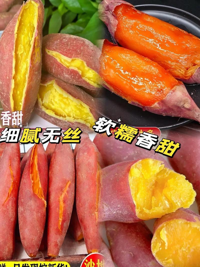 西瓜红红薯上市了产地直发价格实惠欢迎电联