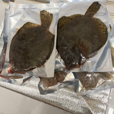 多宝鱼新鲜冷冻，独立包装，净重7-9两