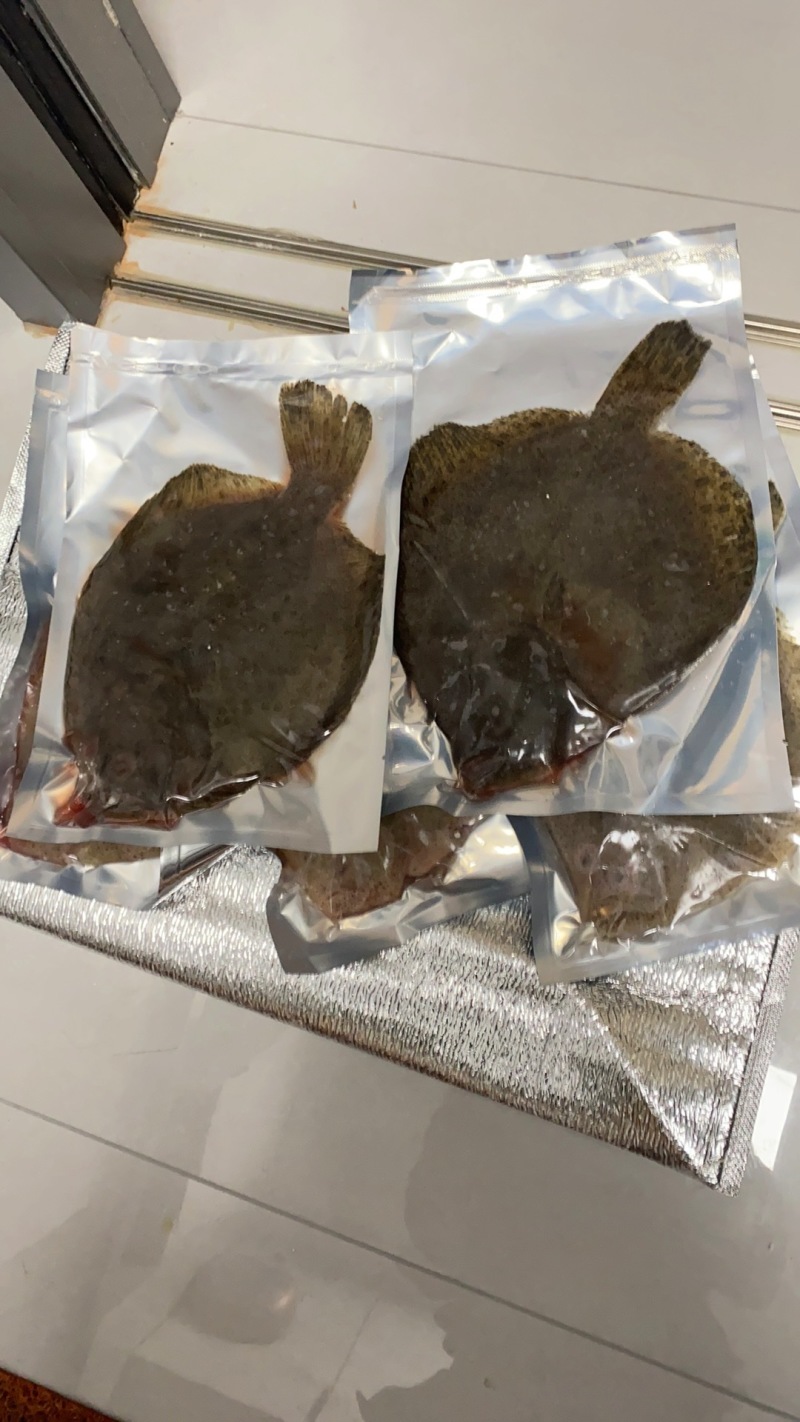 多宝鱼新鲜冷冻，独立包装，净重7-9两