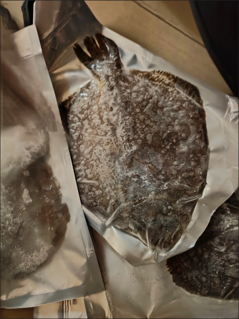 多宝鱼新鲜冷冻，独立包装，净重7-9两