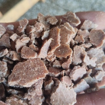 新花饼电话联系***********