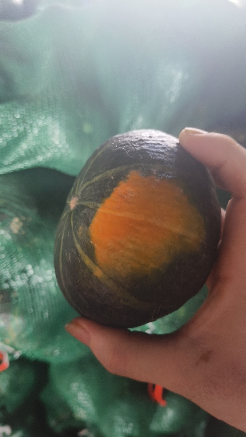精品贝贝南瓜。爆粉软糯香甜