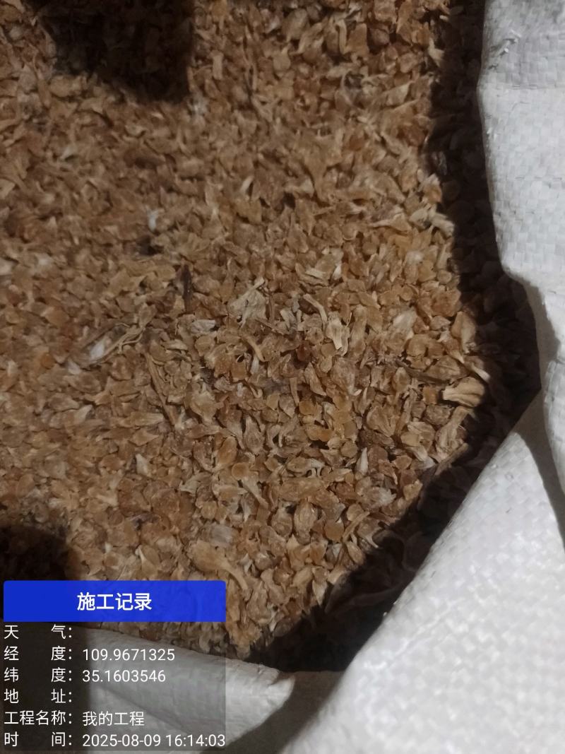 薤白