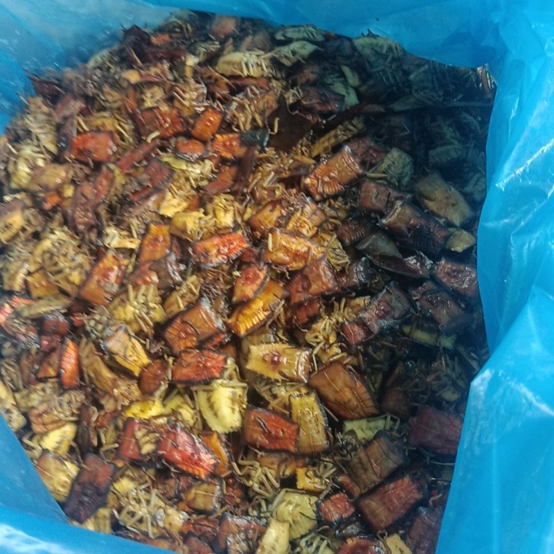 九香虫冷冻食品山区货品