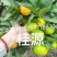 云南蜜橘