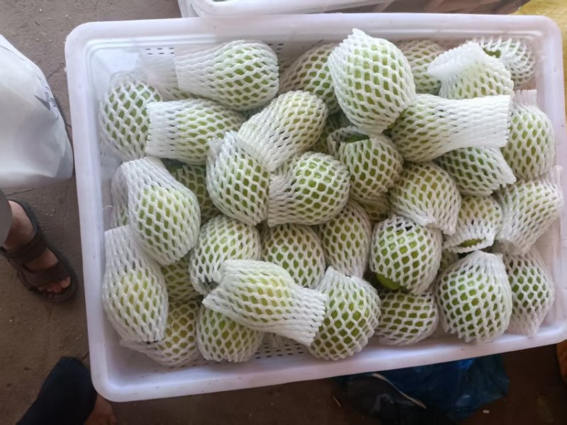 红心芭乐钻石芭乐大量供应，产地直发，品质保证，量大从优