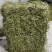 甘肃岷县提摩西草批发