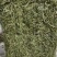 甘肃岷县提摩西草批发