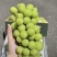湖北葡萄阳光玫瑰葡萄基地一手货源可视频看货